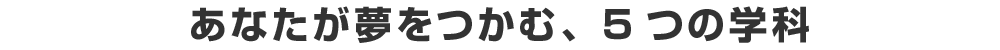 あなたが夢をつかむ、5 つの学科